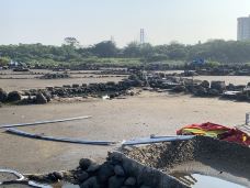 儋州千年古盐田-儋州-不可触碰撞的鱼