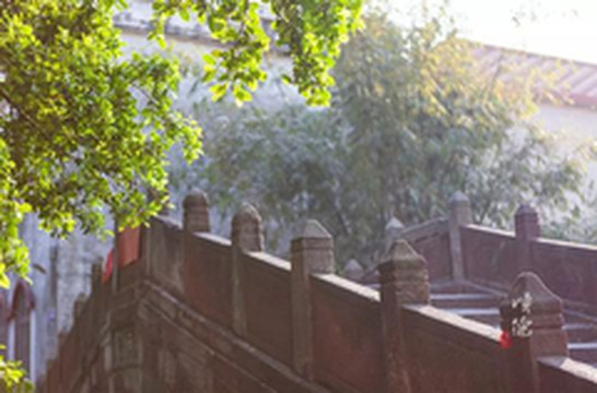 广州游记图片] 这个地方号称最美村镇 到底有多美