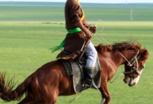 阿尔瓦尔旅游图片-4日陈巴尔虎旗+额尔古纳+满洲里+鸡西+呼伦贝尔