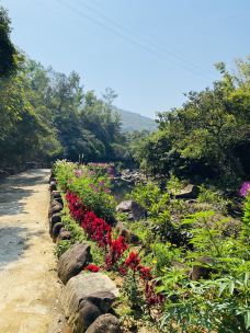 岭南小九寨-台山-YoYo_3S7T6E6U