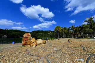 探寻深圳仙湖植物园