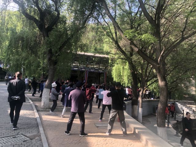 五泉山公园旅行图片 8