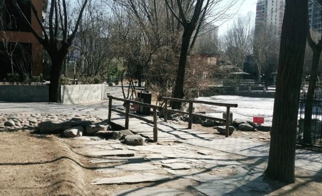 丽都花园旅行图片 1