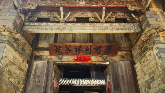 易武古茶山