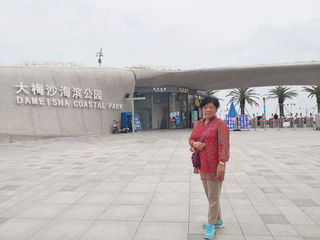 深圳记忆，大沙梅、地王大厦俯观