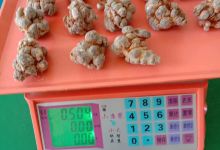 家家福药房(松桃苗族自治县人民医院西北)购物图片