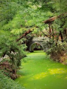 高邮-韶华不负时光