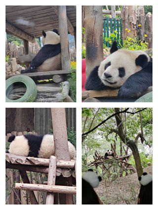 七月暑期-成都三日游攻略