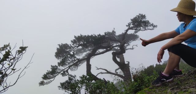 海南热带雨林国家公园五指山景区旅行图片 4