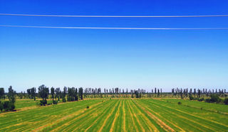 去塞上看黄土吗