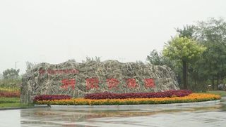 徜徉花海迷宫，吃药膳喝药饮！安国中药都药博园成保定网红打卡地