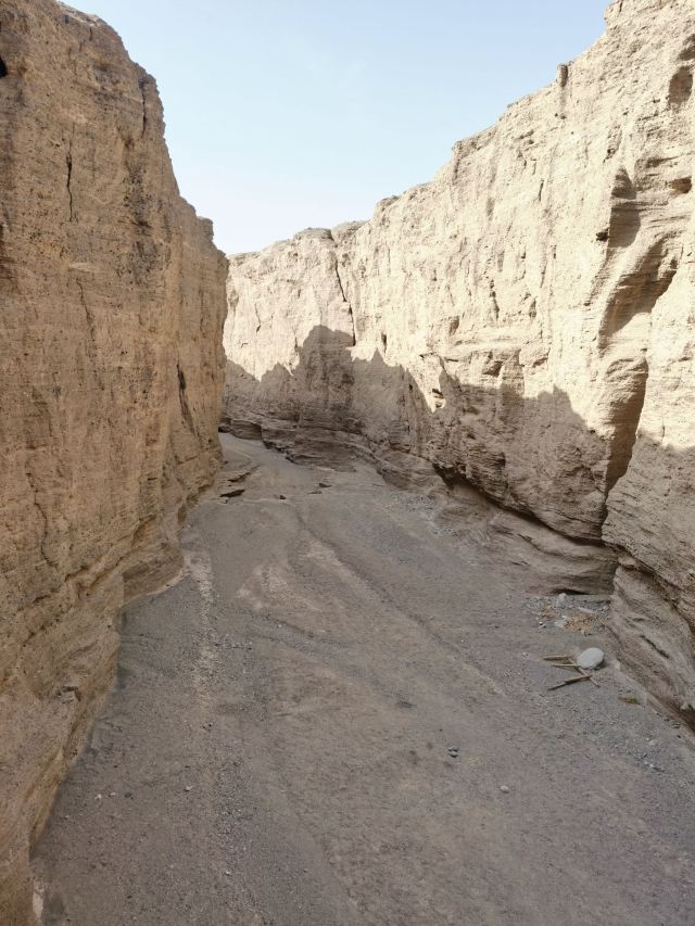 罗布泊大峡谷旅行图片 3