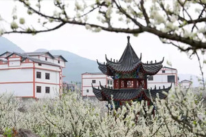 沿河游记图文-乡游黔中·沿河县 孙家村 │ 寻觅田野的欢乐与诗意