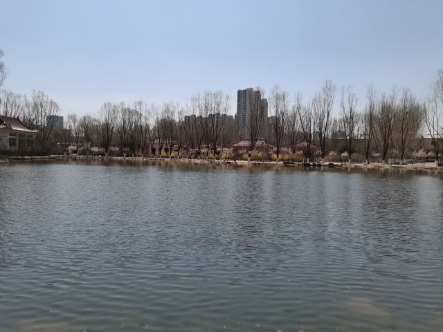 青城公园旅行图片 1