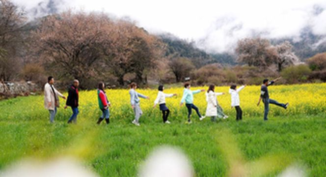 4月拉萨、林芝桃花之旅