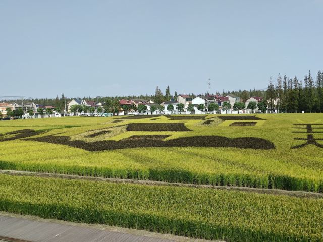 合庆郊野公园旅行图片 2