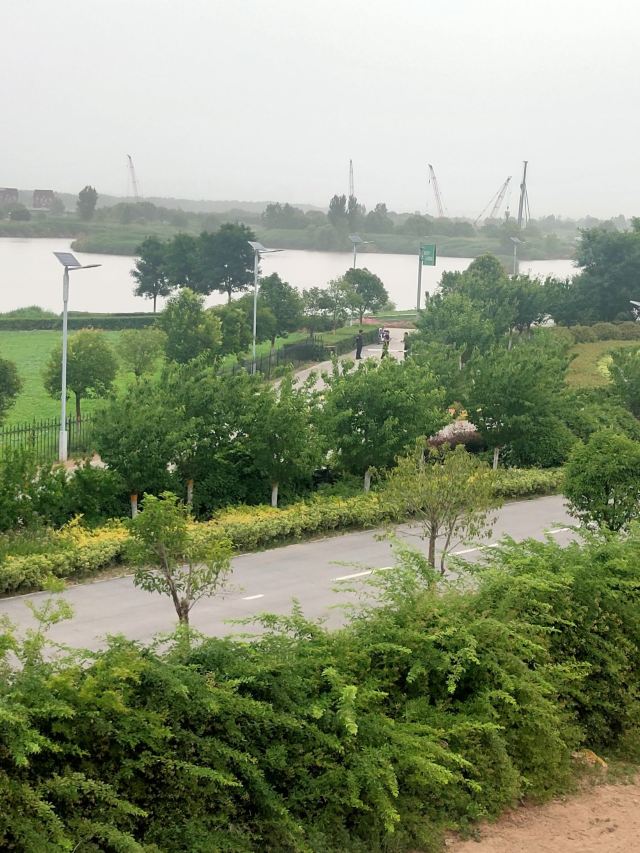 灞渭生态滩区旅行图片 4