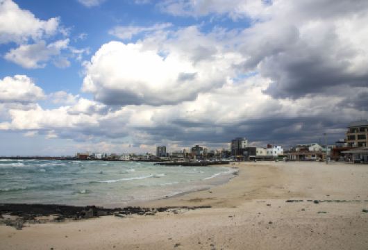 小羊肖恩+挟才浴场+ARTE全沉浸式美术馆一日游【中文司机】【当地中文司机，感受当地人的模式 美食攻略，旅途聚会，吃吃喝喝畅游当地】