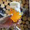 Microbrasserie Le Prospecteur