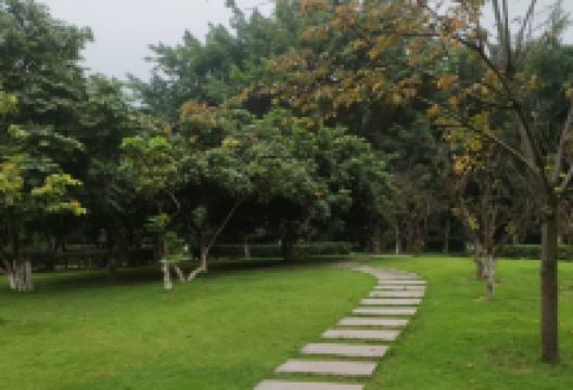 莲子山公园景点图片