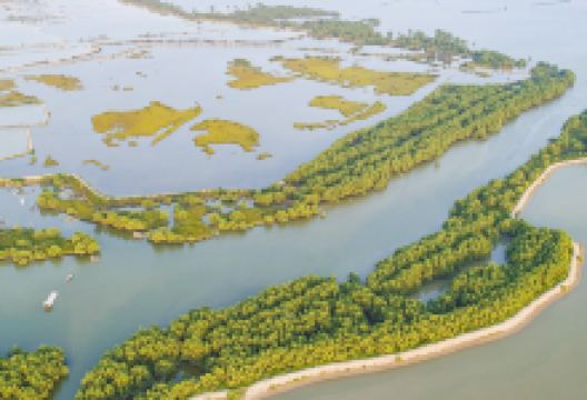 广东湛江红树林国家级自然保护区景点图片