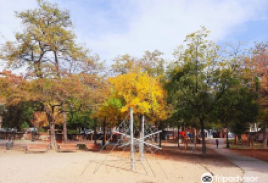 Parc de Can Mula景点图片