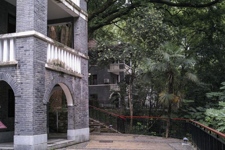 Gallery 1