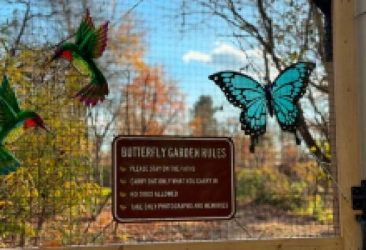 Rosalynn Carter Butterfly Trail景点图片
