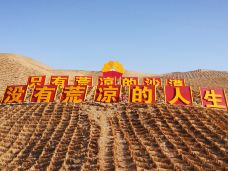 塔里木沙漠公路-且末-啦啦lala岛