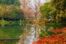 杭州西湖风景名胜区杭州花圃-杭州