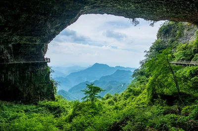 金佛山北坡景区