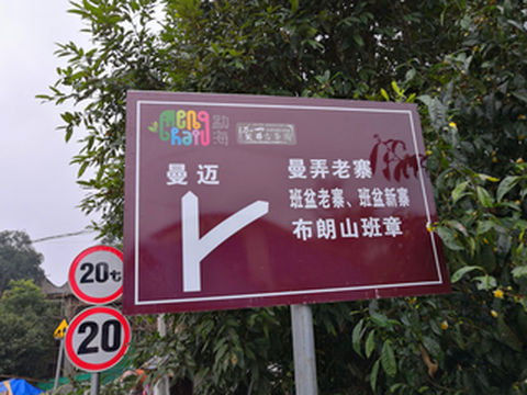 勐海茶山行(二)用十年时间来等一款好茶,没有捷径,也无法伪装