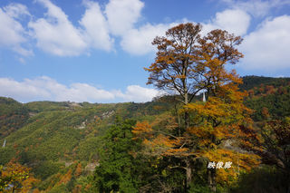 余姚四明山秋游—老柿子林山居憩息