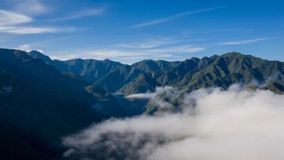 九龍山