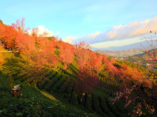 走“无法预测艰险”路，看“绚丽多彩难忘”景（一）  滇西北十日游