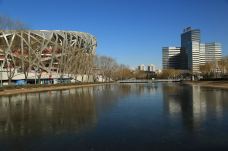 国家体育馆-北京-喜欢猫的虎