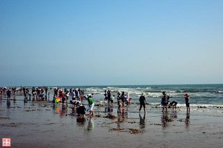 春节去湛江 看湛蓝的天湛蓝的海（三）：八景之首湖光岩