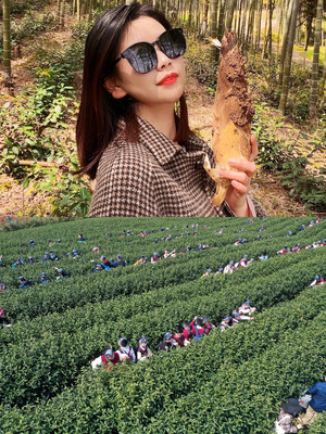 清明节，安吉景区活动大全！
