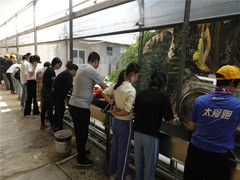 深圳游记图片] 深圳田中园农家乐适合野炊团建亲子一日游