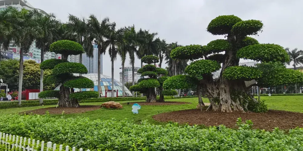 永安旅遊