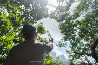 这片夏日平均气温21度的避暑森林,相信我,来了就不想走
