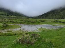 稻城亚丁-冲古草甸-稻城-涛涛讨喜w