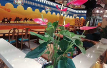 牛氏烧烤(县医院店)餐厅图片