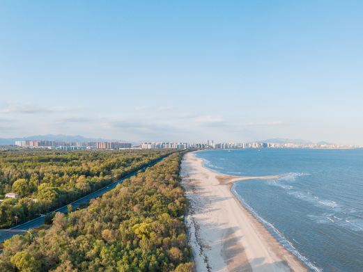 金海湾森林公园