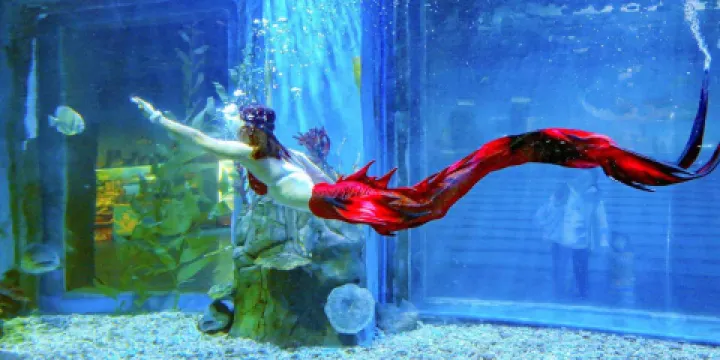 海之語海洋世界