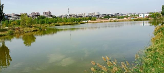 海宝公园旅行图片 6