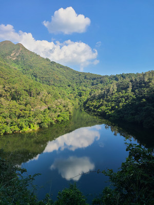 2021-12香港,山野行