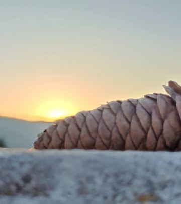 五台游记图文-南京-五台山-大同5日朝圣自驾游