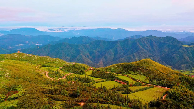 云台山风景区认养一片茶叶,开启属于你的共享骑行之旅