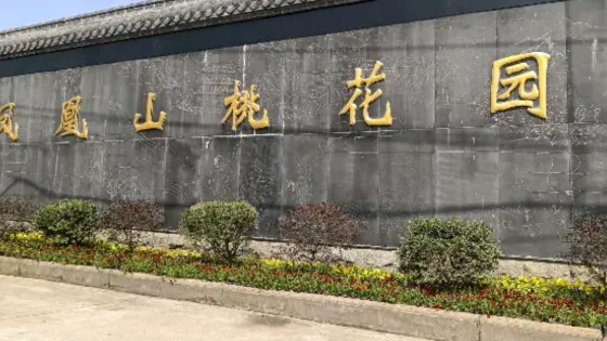 鳳凰山桃花園